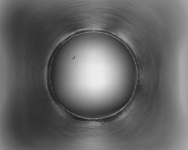 X0000089671085200707051544