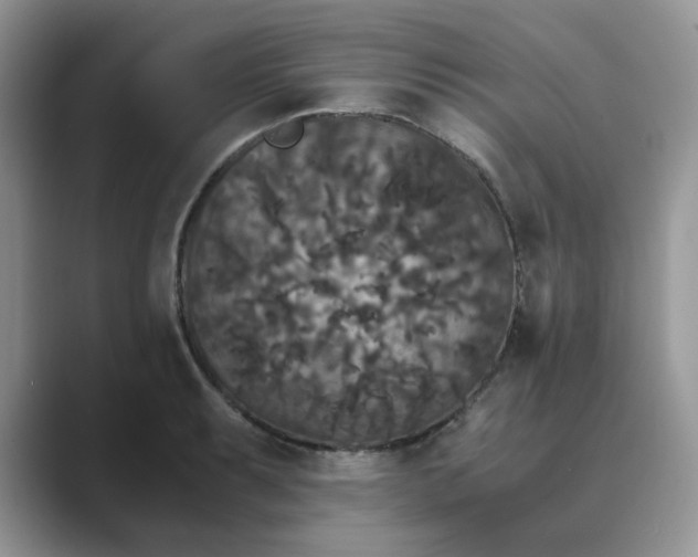 X0000089671087200707051544