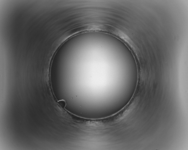 X0000089671089200707051544