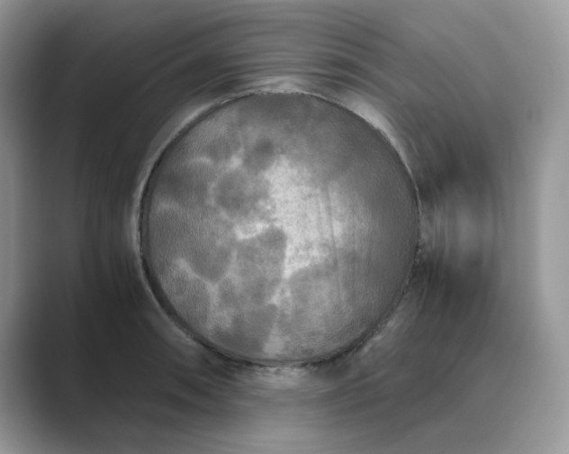 X0000089671090200707051544