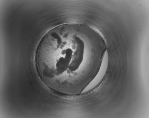 X0000089671091200707051544