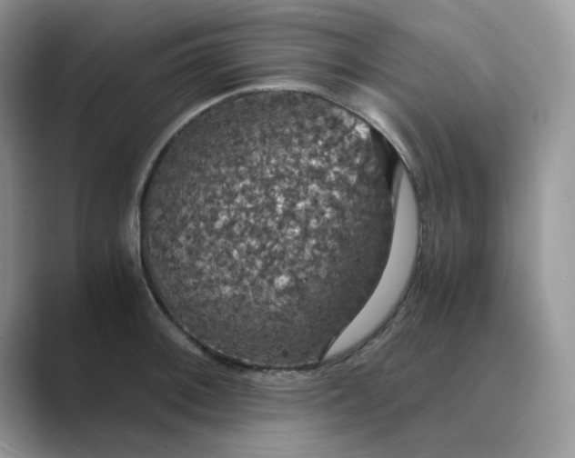 X0000089671092200707051544