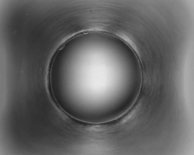 X0000089671093200707051544