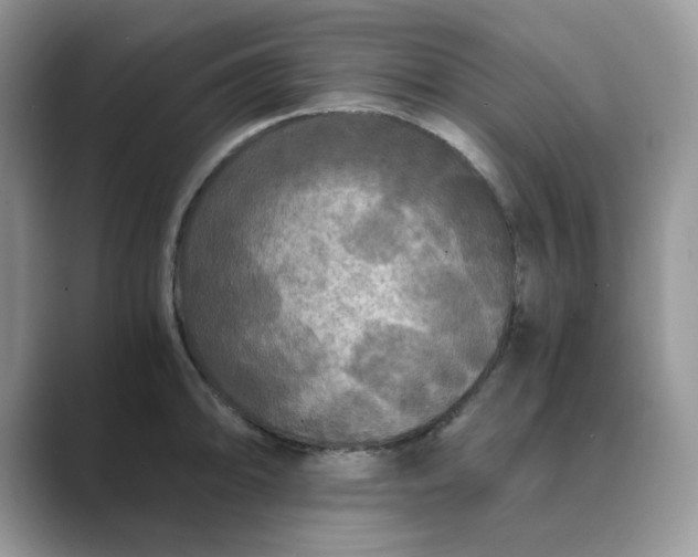 X0000089671094200707051544