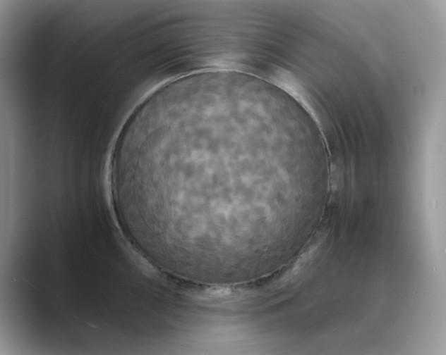 X0000089671098200707051544