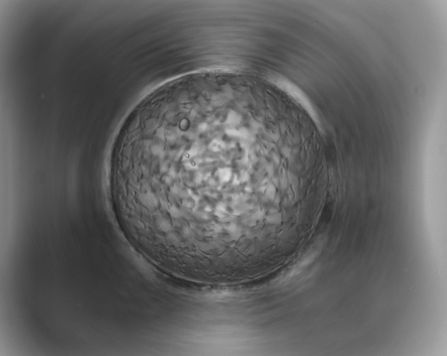 X0000089671099200707051544