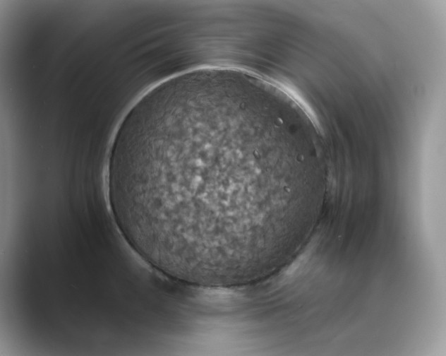 X0000089671100200707051544