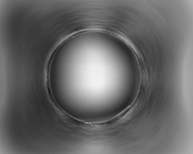 X0000089671101200707051544
