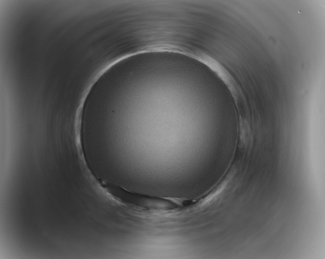 X0000089671102200707051544