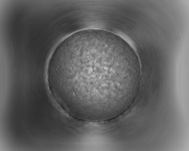 X0000089671104200707051544
