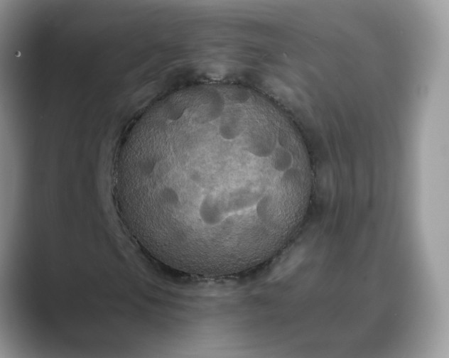 X0000089671105200707051543