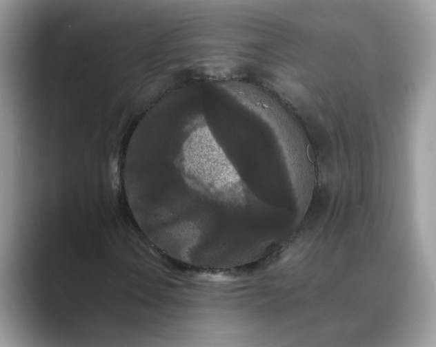 X0000089671106200707051543