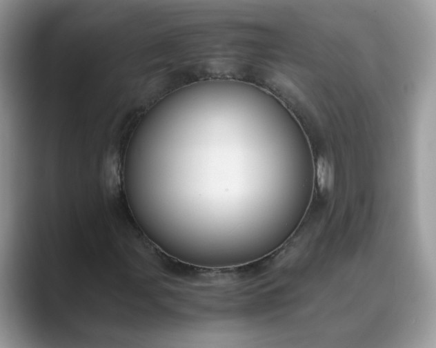 X0000089671107200707051543