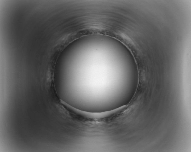 X0000089671110200707051543