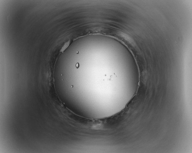 X0000089671111200707051543