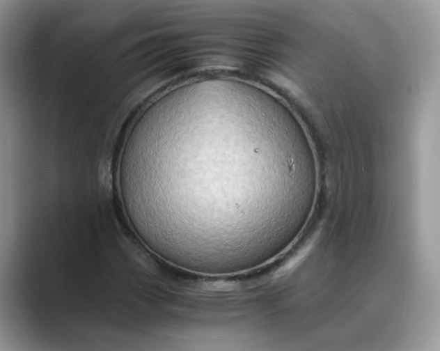 X0000089671113200707051543