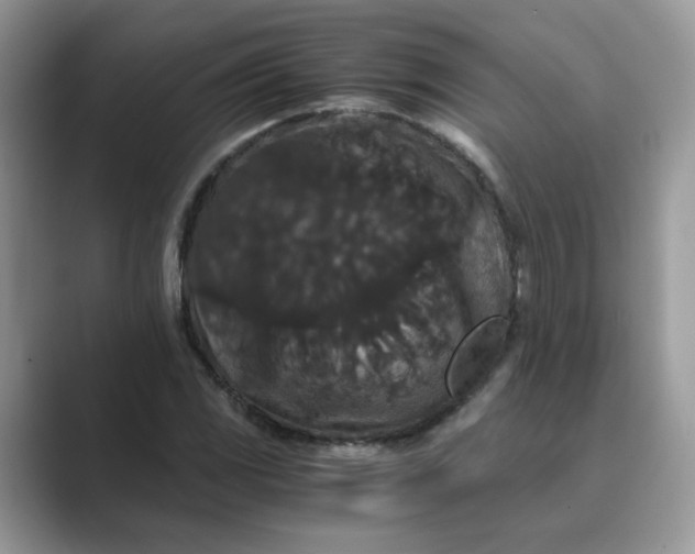 X0000089671117200707051543