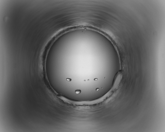 X0000089671118200707051543