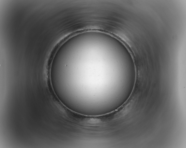 X0000089671119200707051543