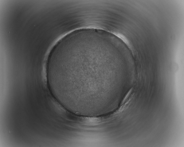 X0000089671120200707051543