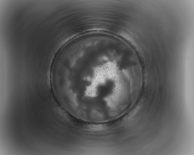 X0000089671121200707051543