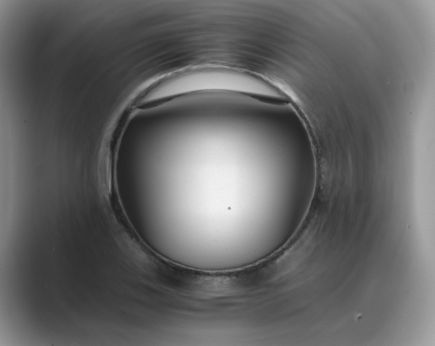 X0000089671123200707051543