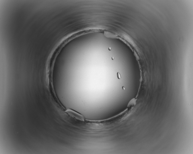 X0000089671124200707051543
