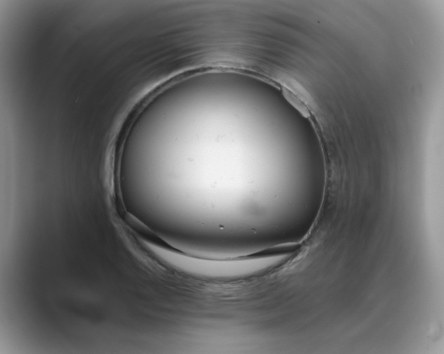 X0000089671128200707051543