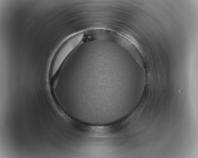 X0000089671132200707051543