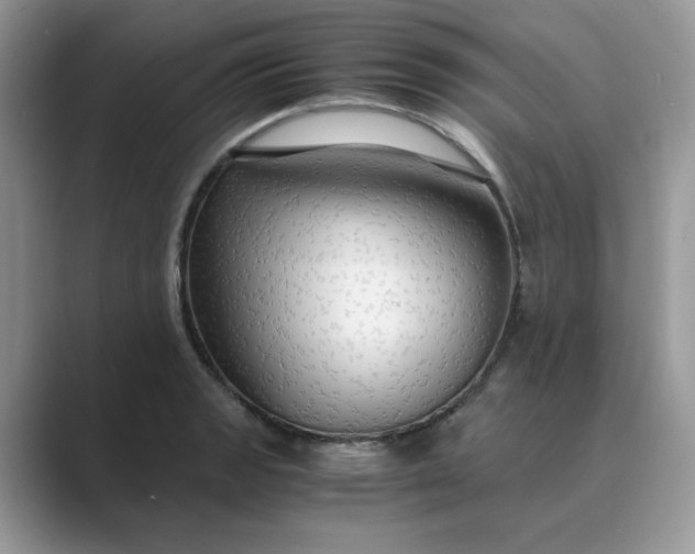 X0000089671133200707051543