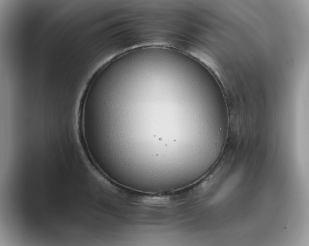 X0000089671135200707051543