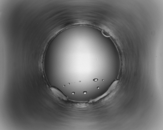 X0000089671137200707051543