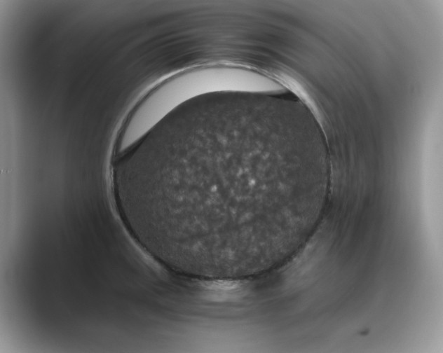 X0000089671141200707051543