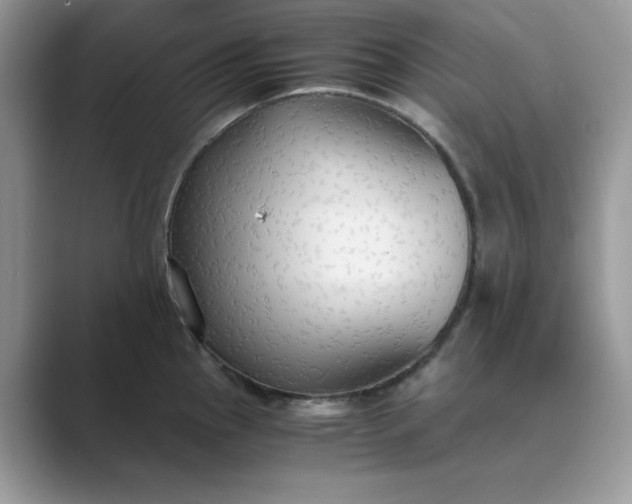 X0000089671145200707051543