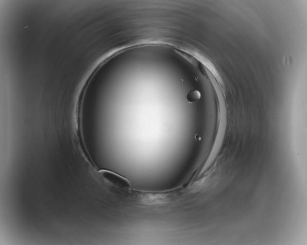 X0000089671148200707051543