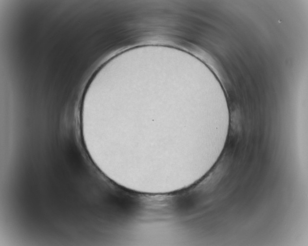 X0000089671150200707051543