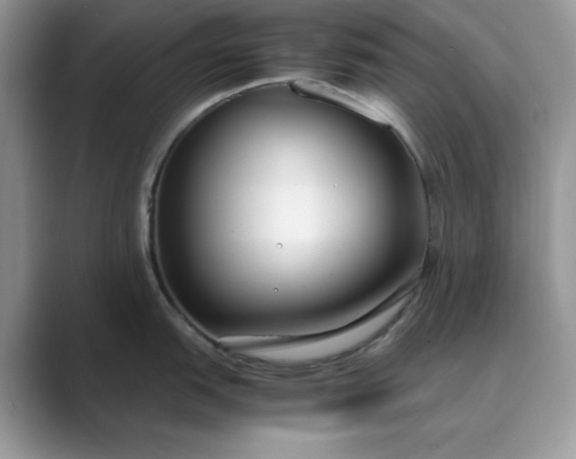 X0000089671151200707051543