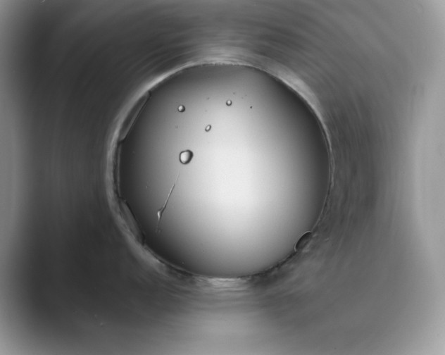 X0000089671152200707051544