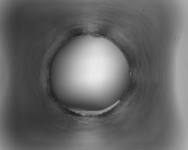 X0000089671153200707051543