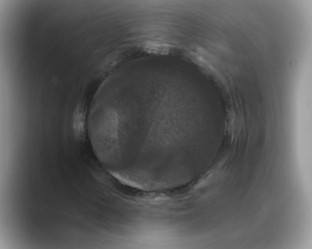 X0000089671154200707051543