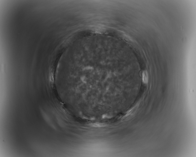 X0000089671155200707051543