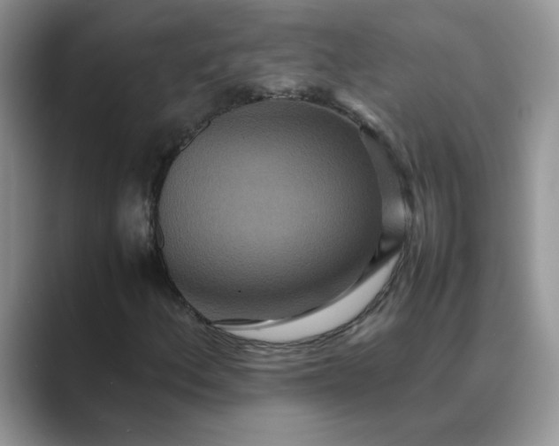 X0000089671156200707051543