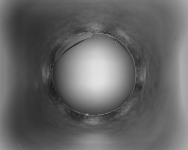 X0000089671157200707051543