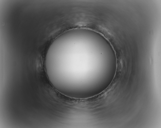 X0000089671158200707051543