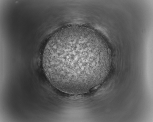 X0000089671159200707051543