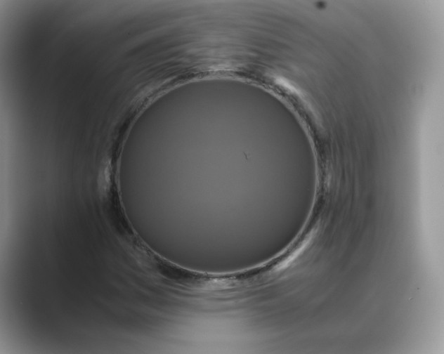 X0000089671161200707051543