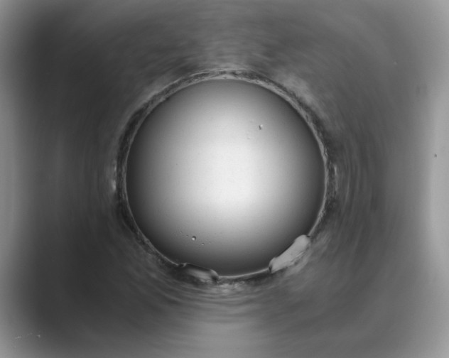 X0000089671165200707051543