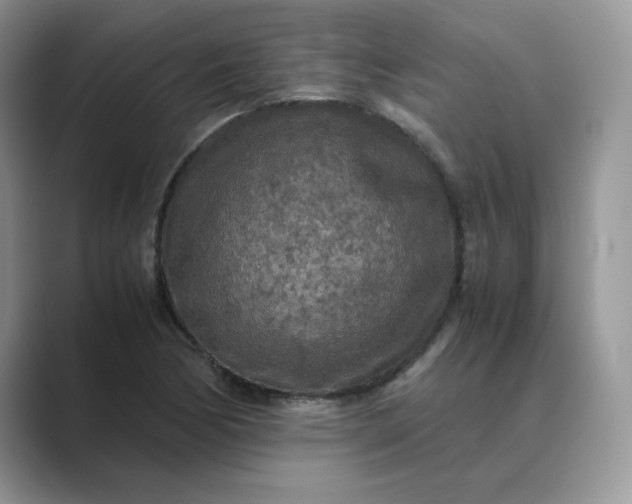 X0000089671170200707051543