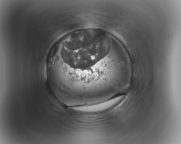 X0000089671171200707051543