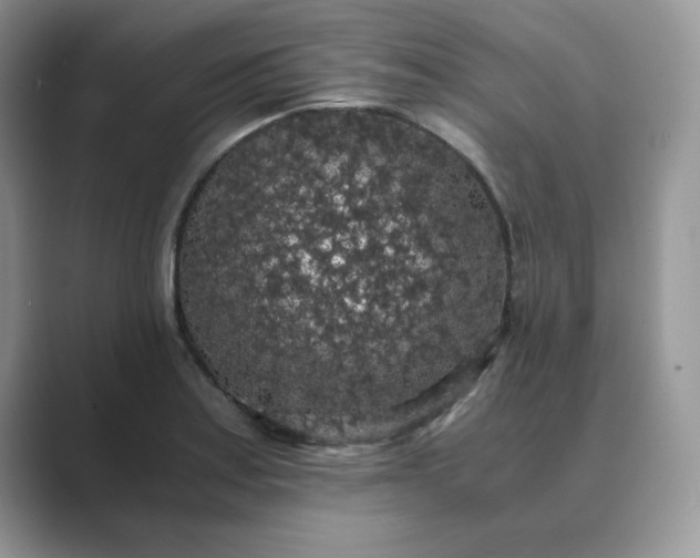 X0000089671179200707051543